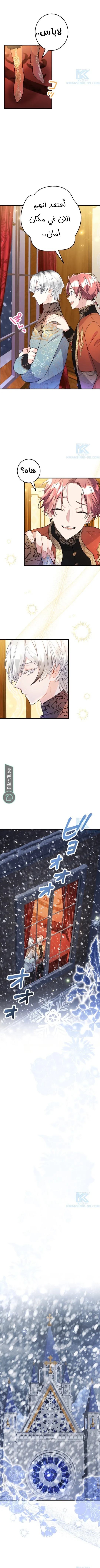 الصفحة 15