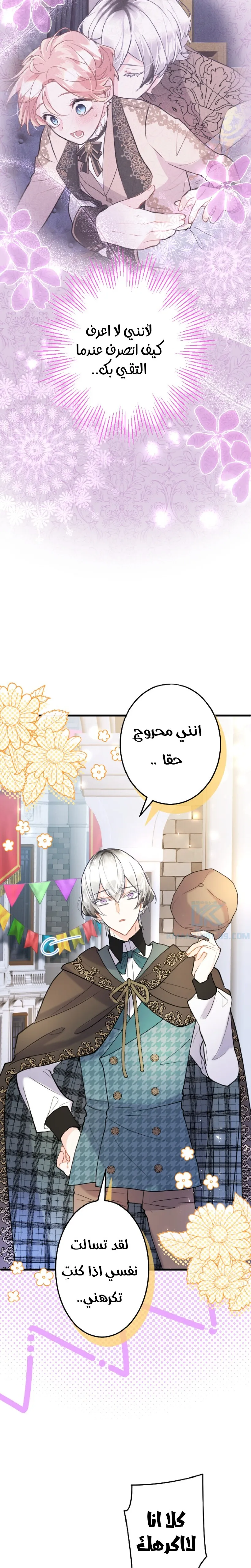 الصفحة 20