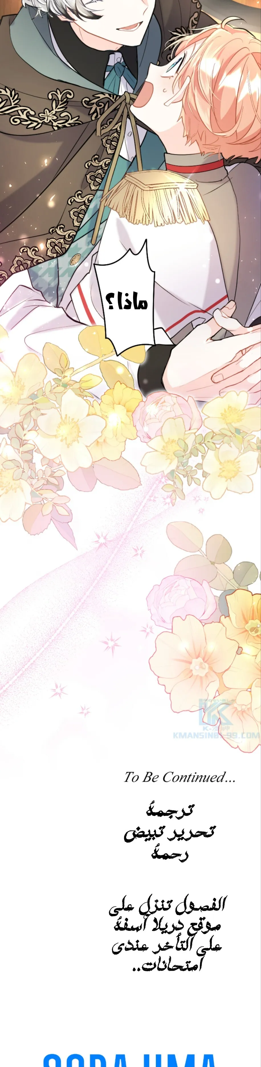 الصفحة 24