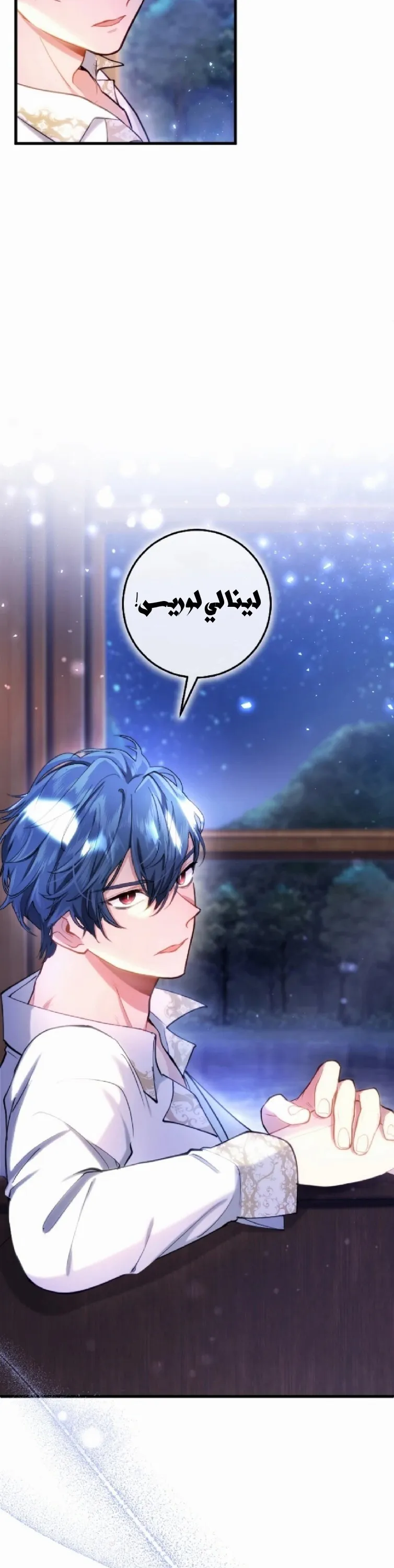 الصفحة 13