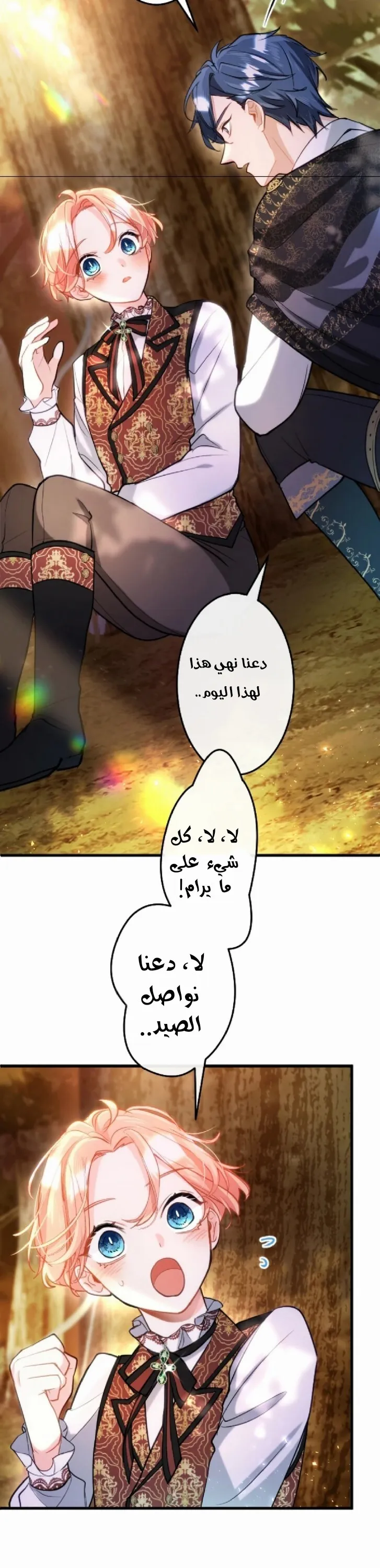 الصفحة 17