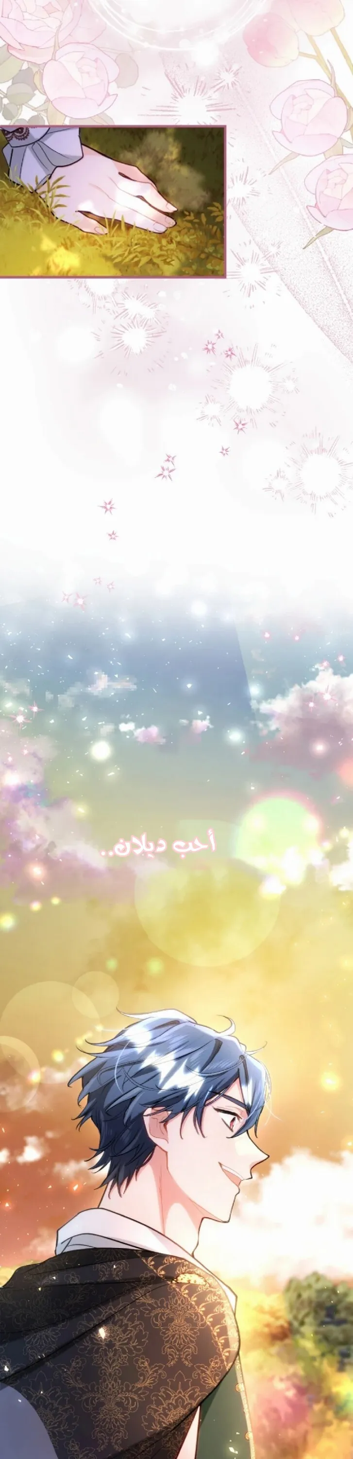 الصفحة 24