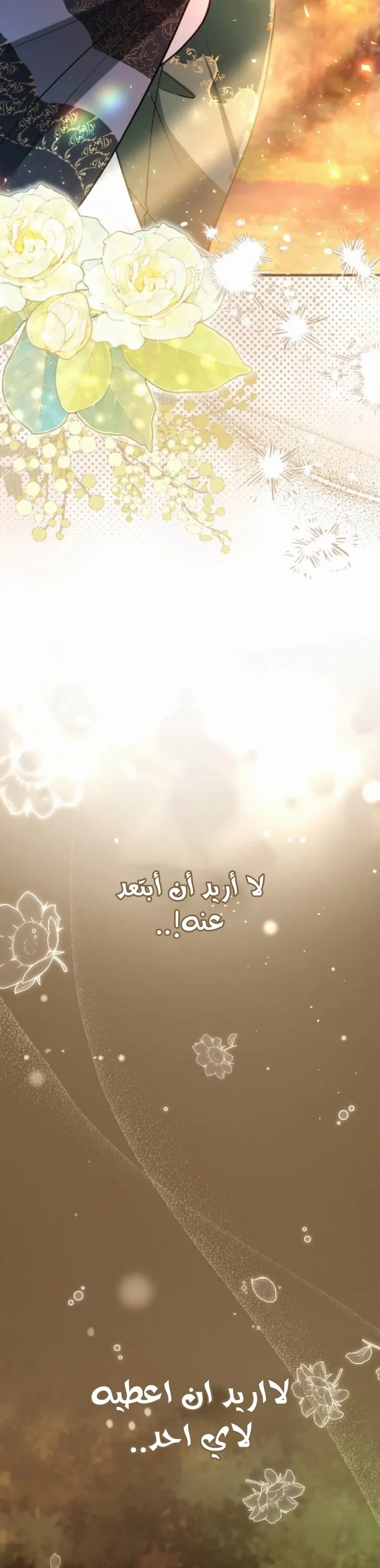 الصفحة 25