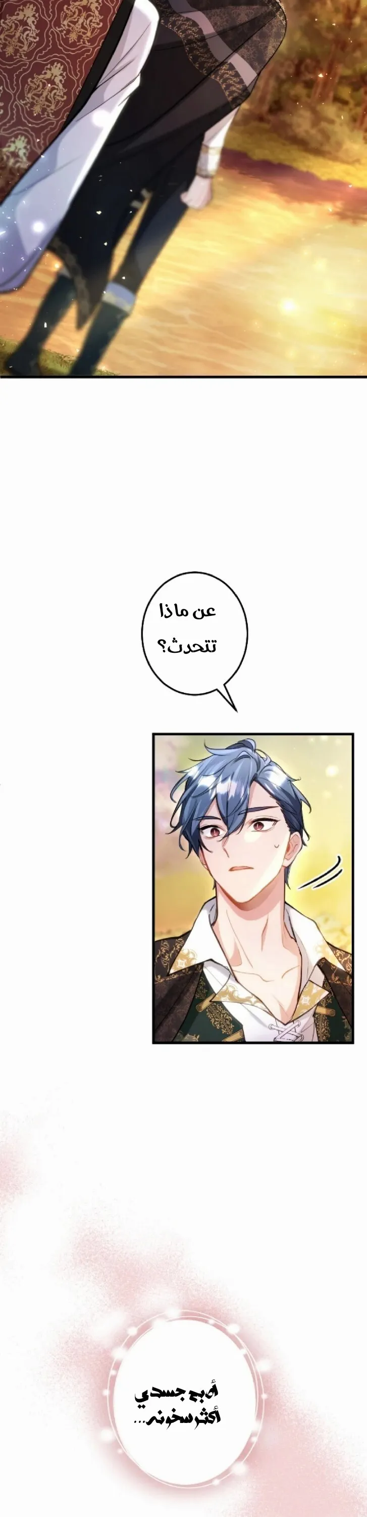 الصفحة 29