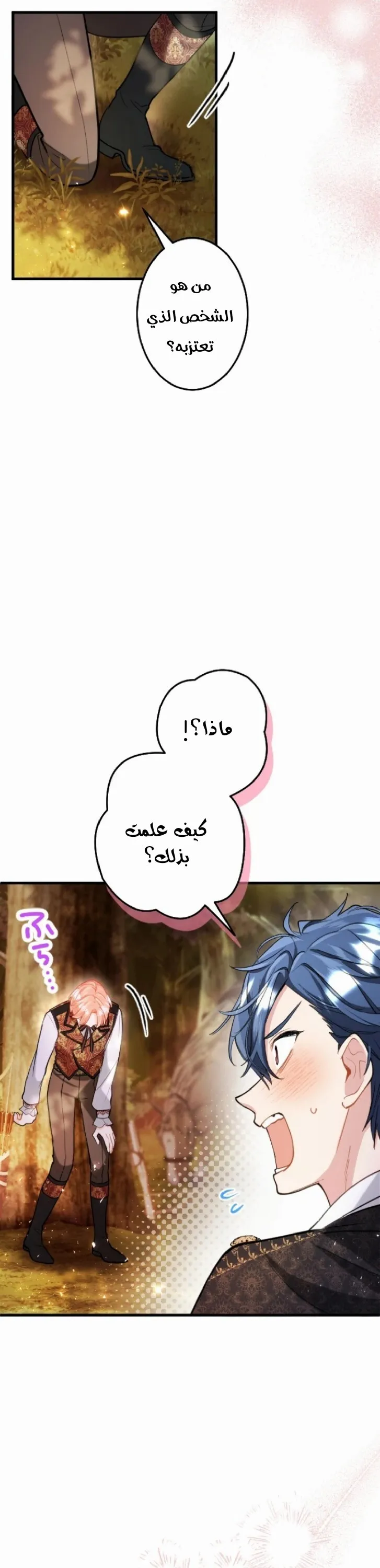 الصفحة 30