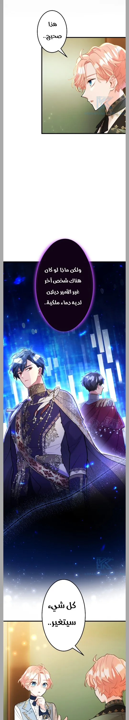 الصفحة 13