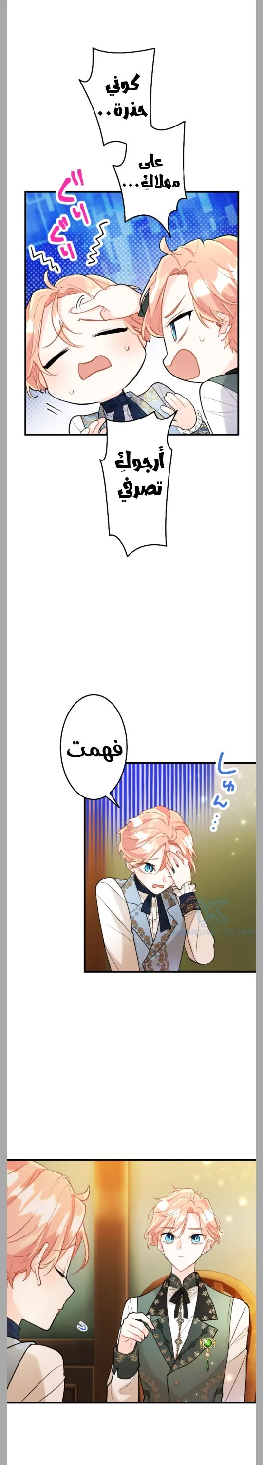 الصفحة 17