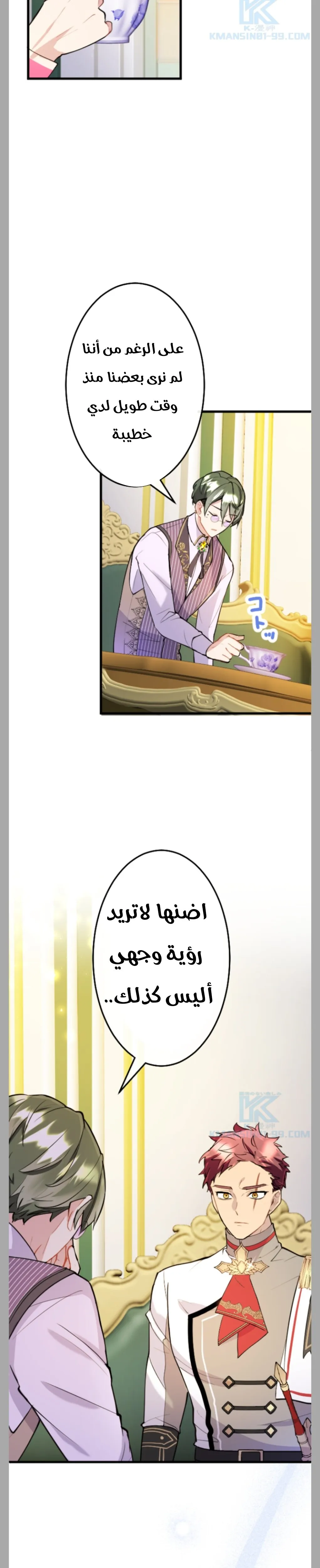 الصفحة 26