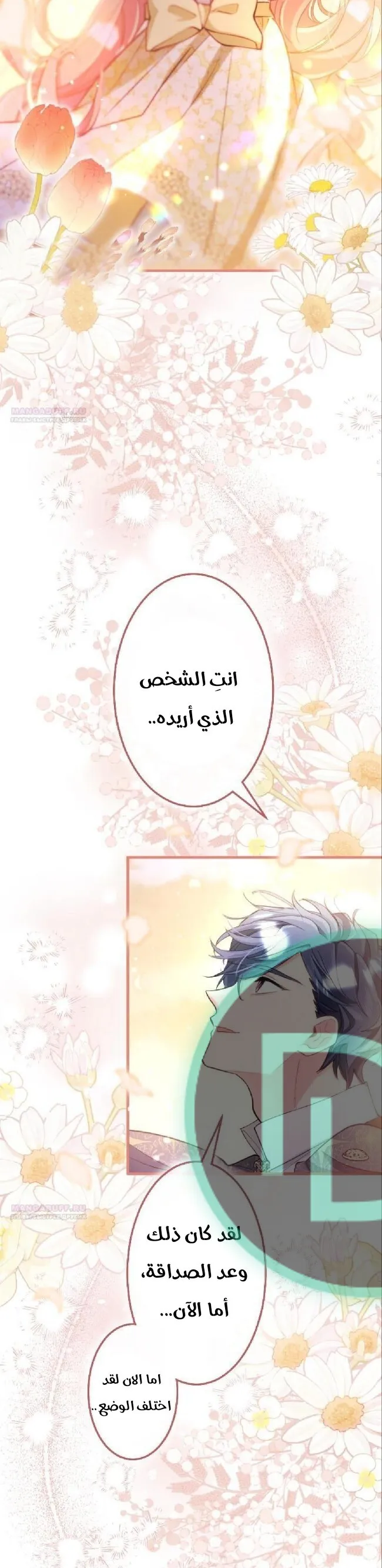 الصفحة 29