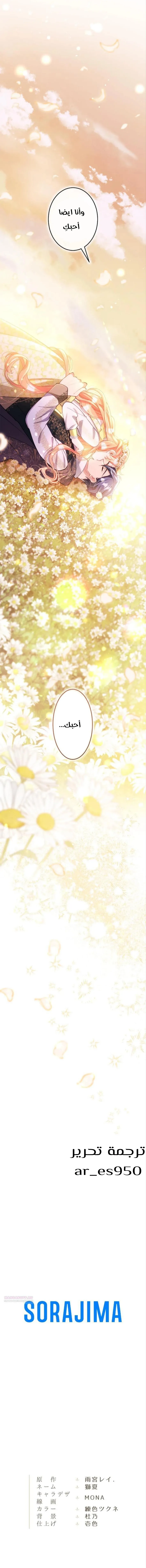 الصفحة 31