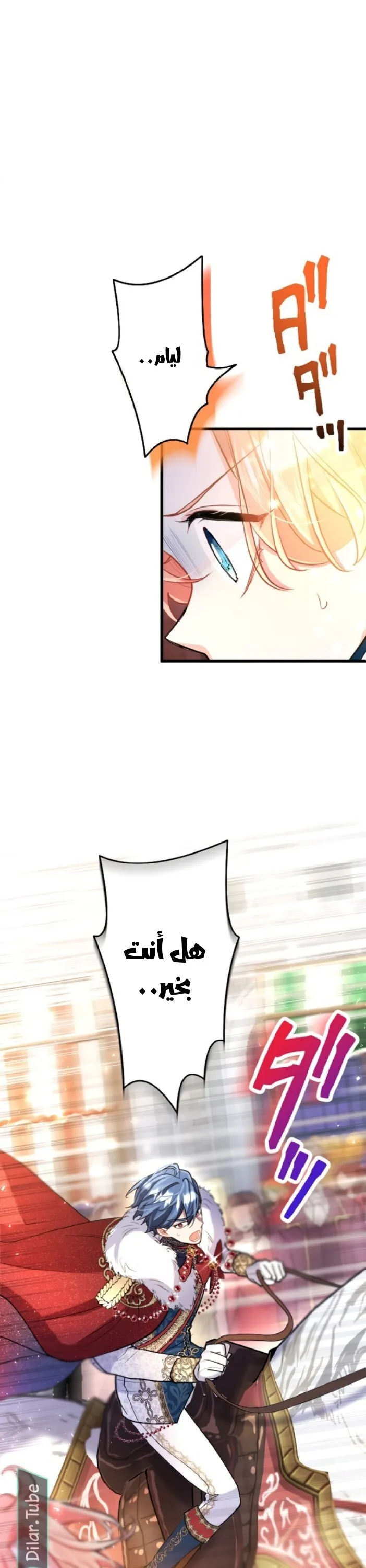 الصفحة 21