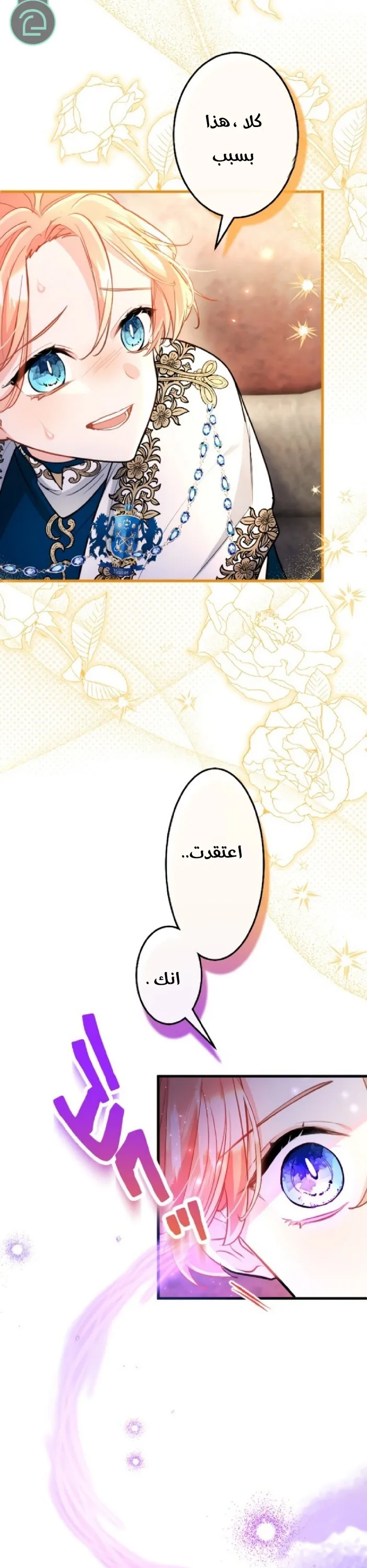 الصفحة 28