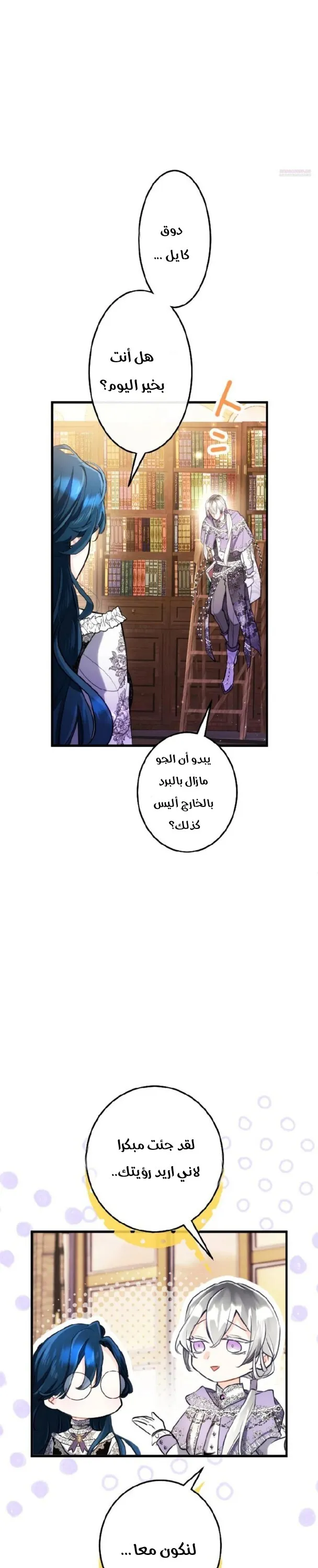 الصفحة 11