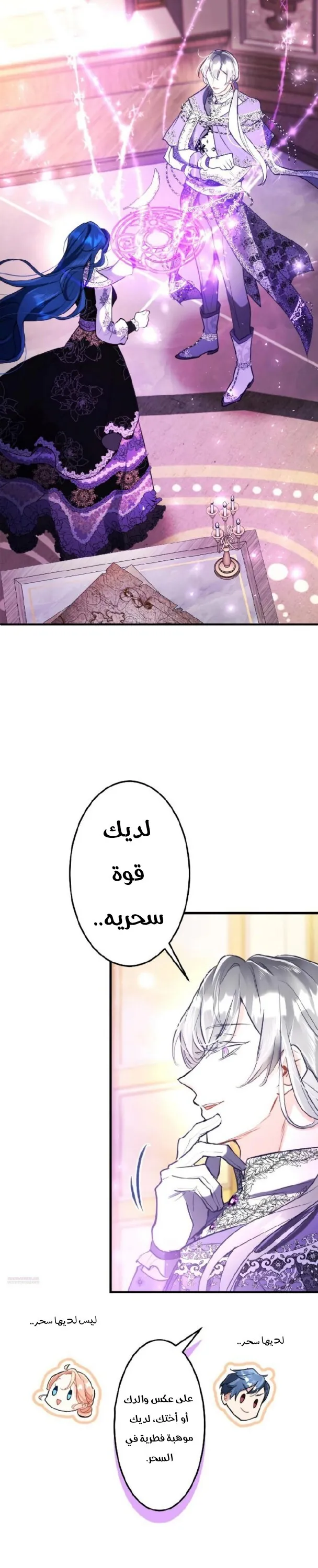 الصفحة 17