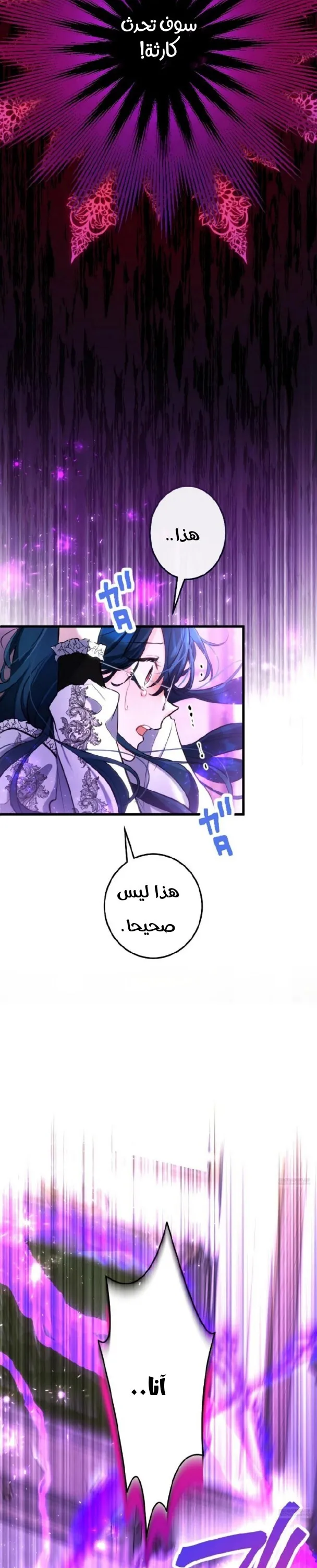 الصفحة 26