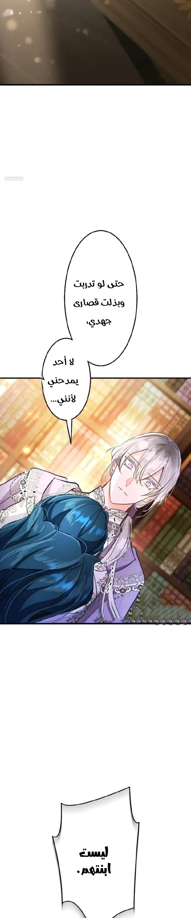 الصفحة 33