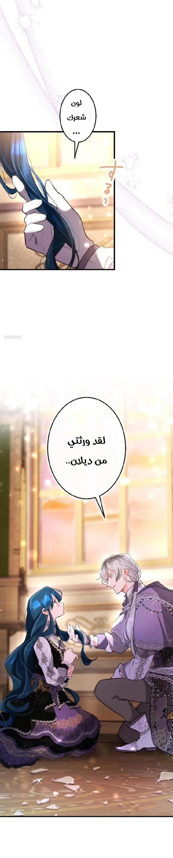 الصفحة 42