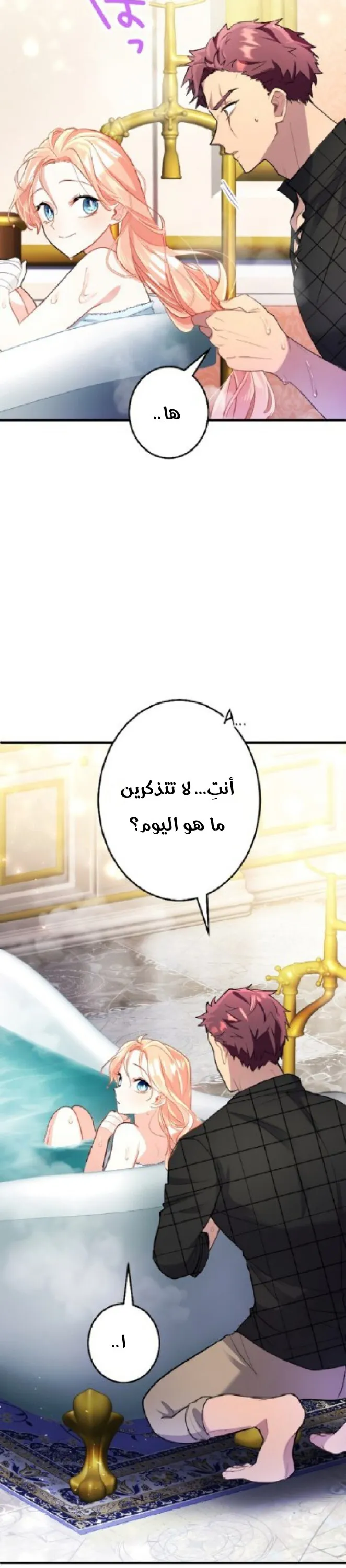 الصفحة 24