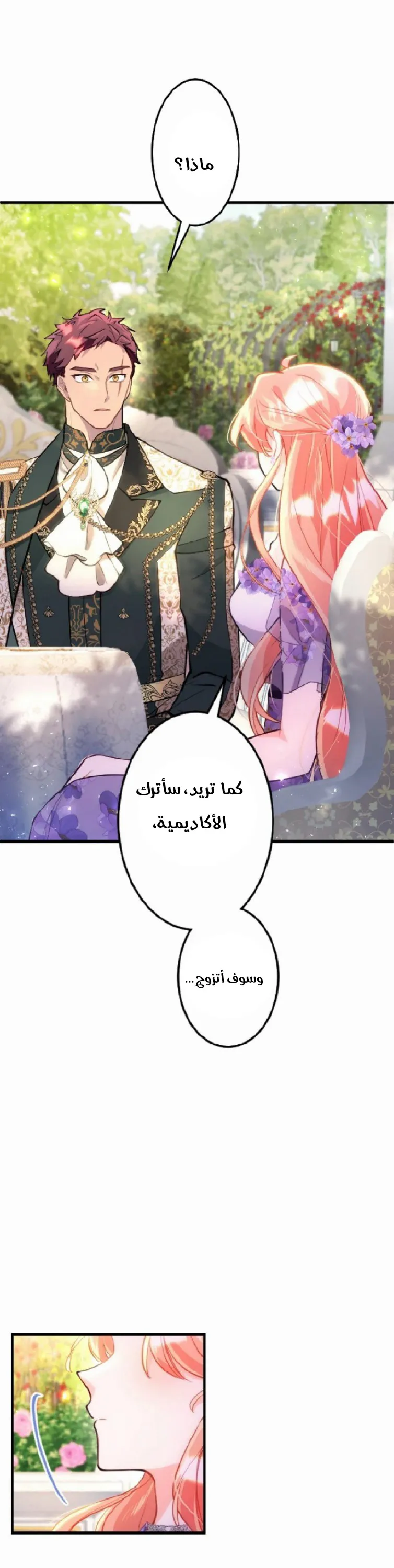 الصفحة 17