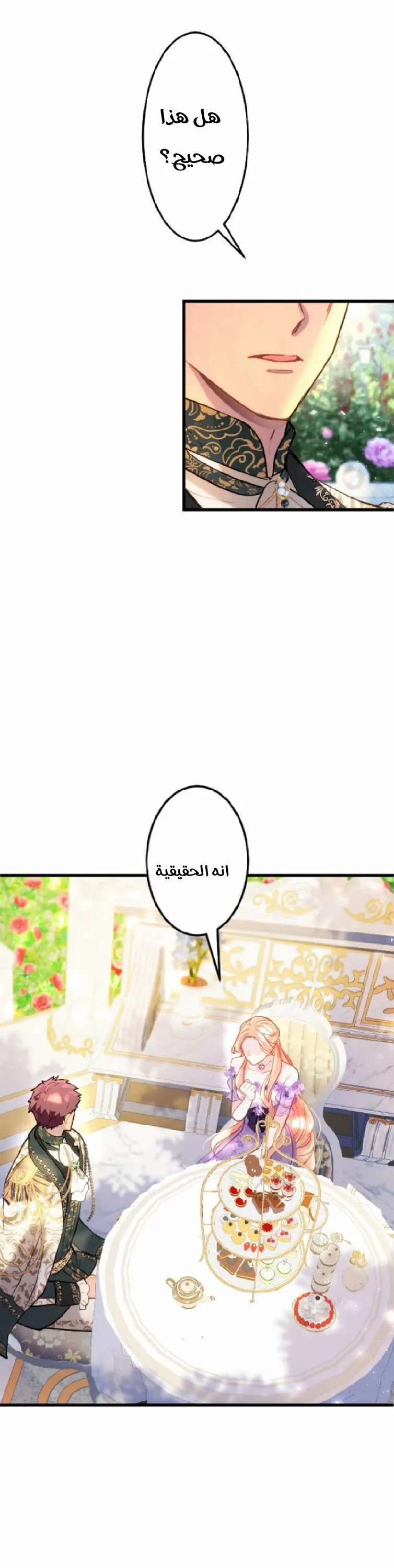 الصفحة 20