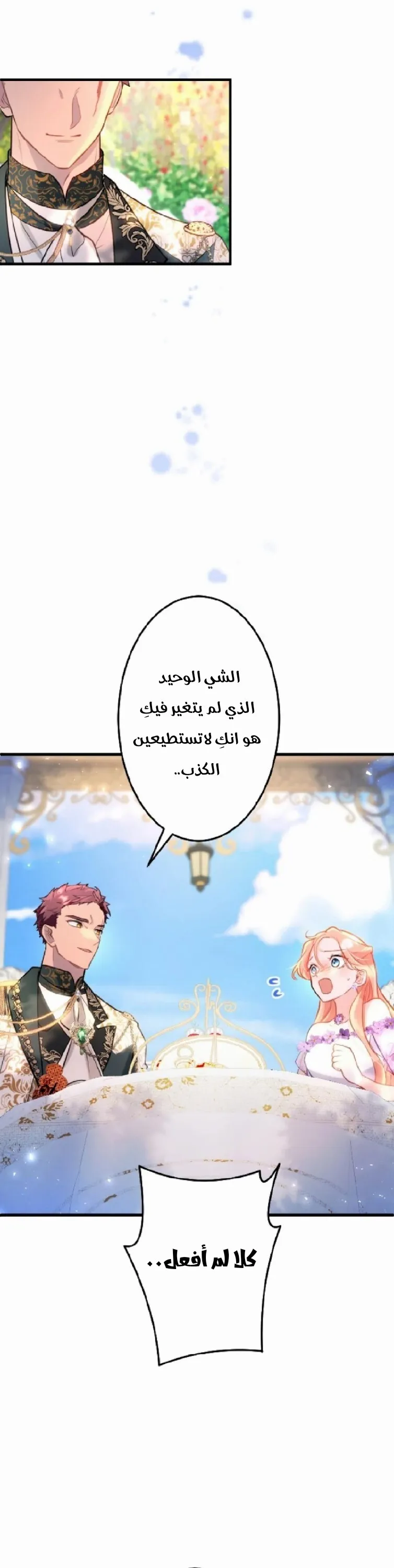 الصفحة 29