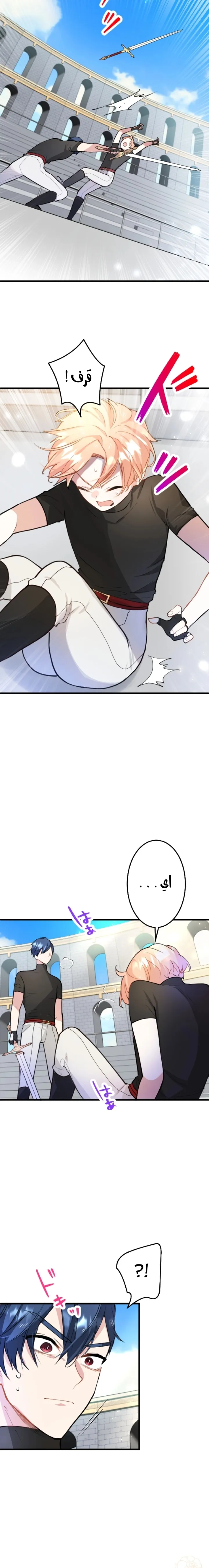 الصفحة 17