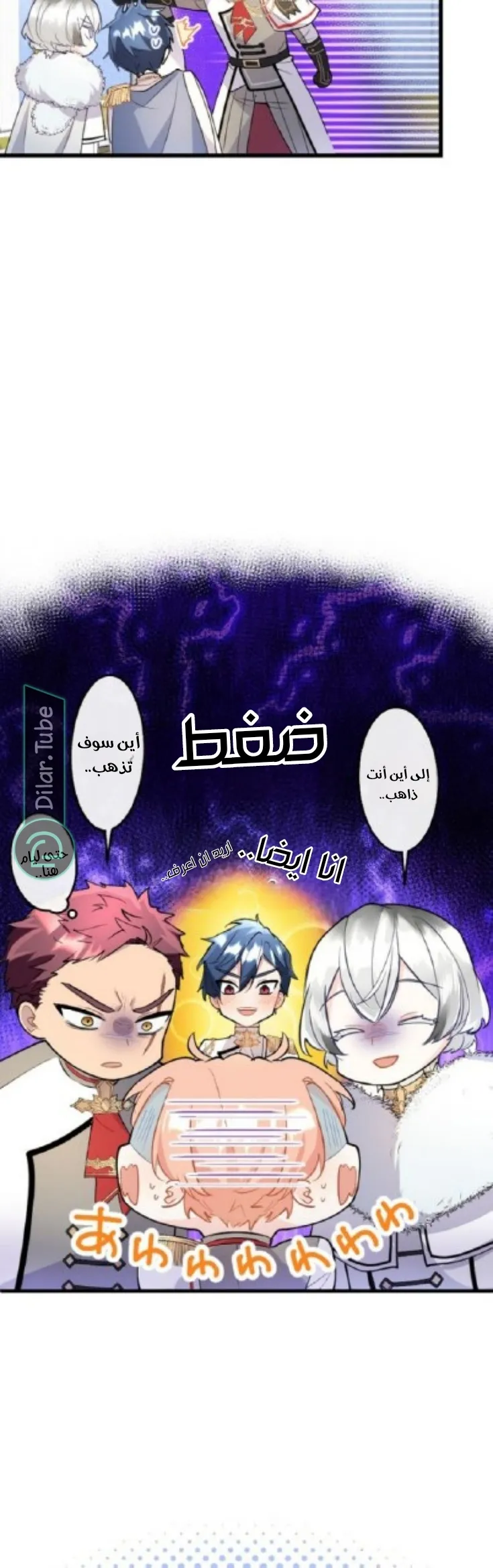 الصفحة 17