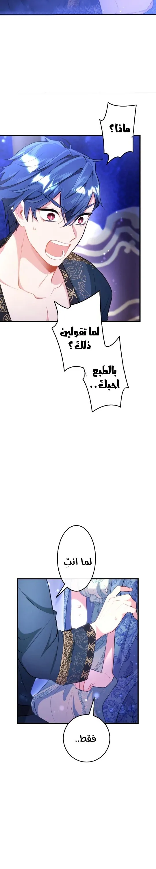 الصفحة 17