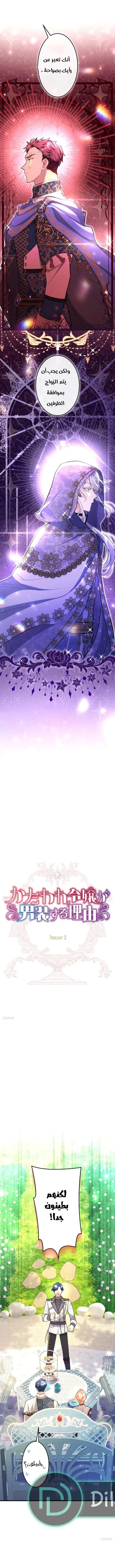 الصفحة 3