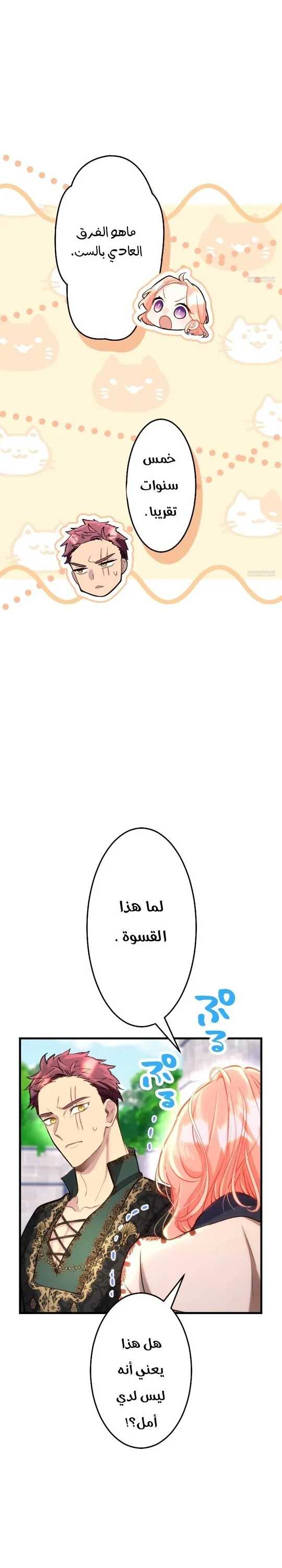 الصفحة 15