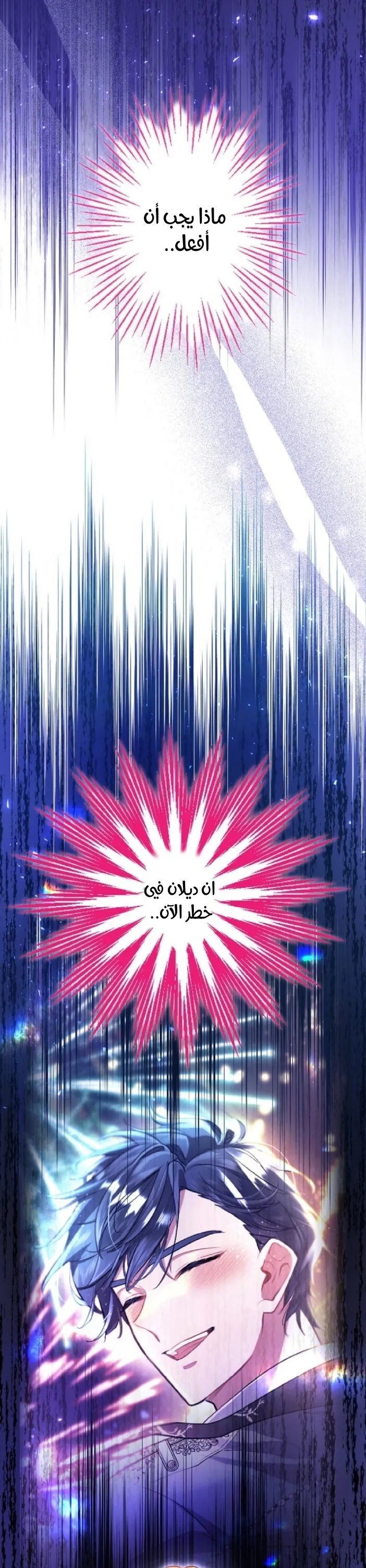 الصفحة 17