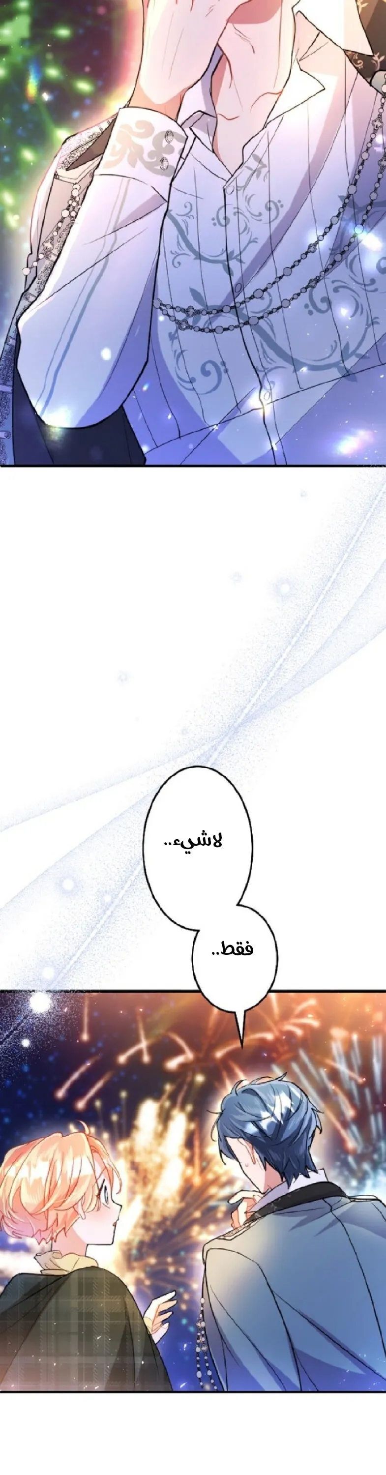 الصفحة 26