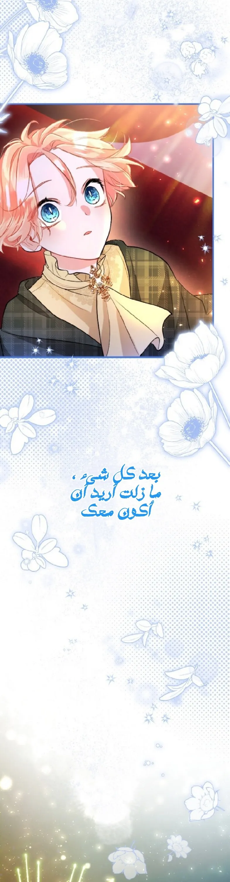 الصفحة 29