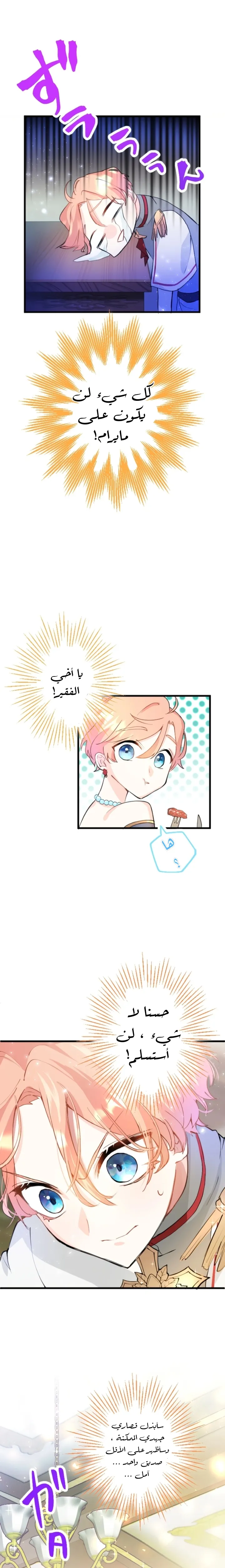الصفحة 14