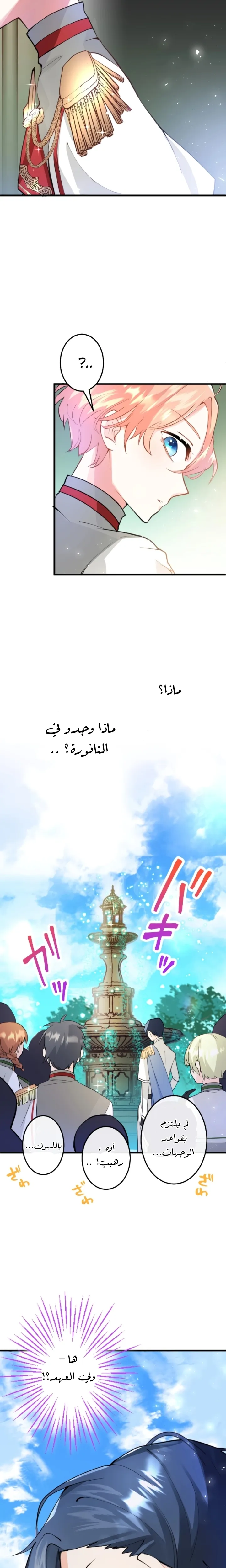 الصفحة 20