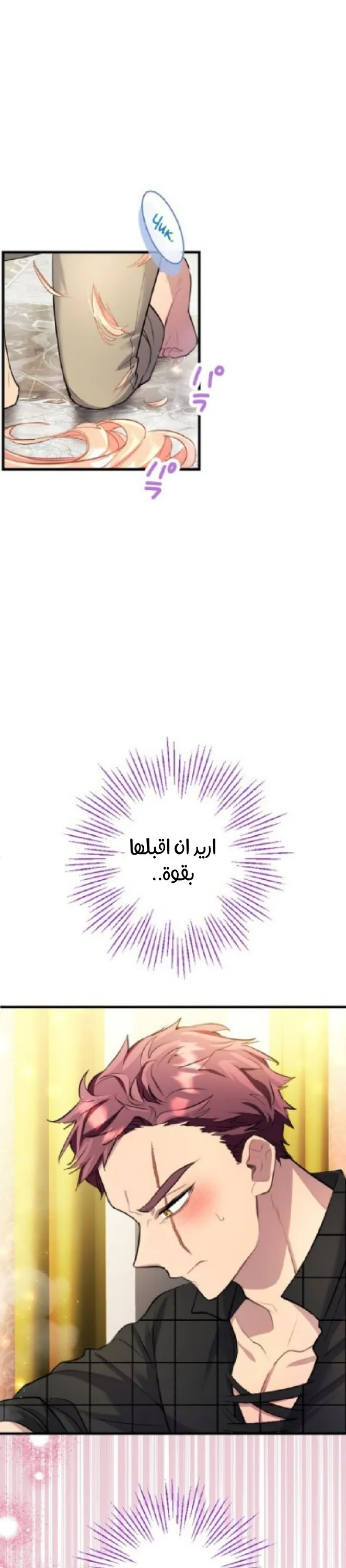 الصفحة 17
