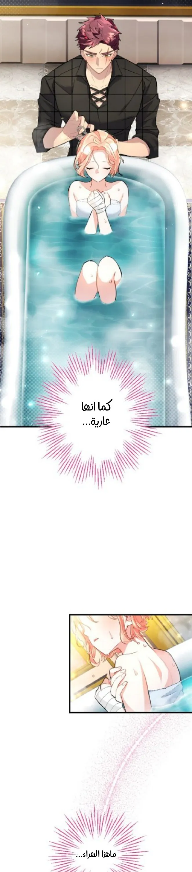 الصفحة 19