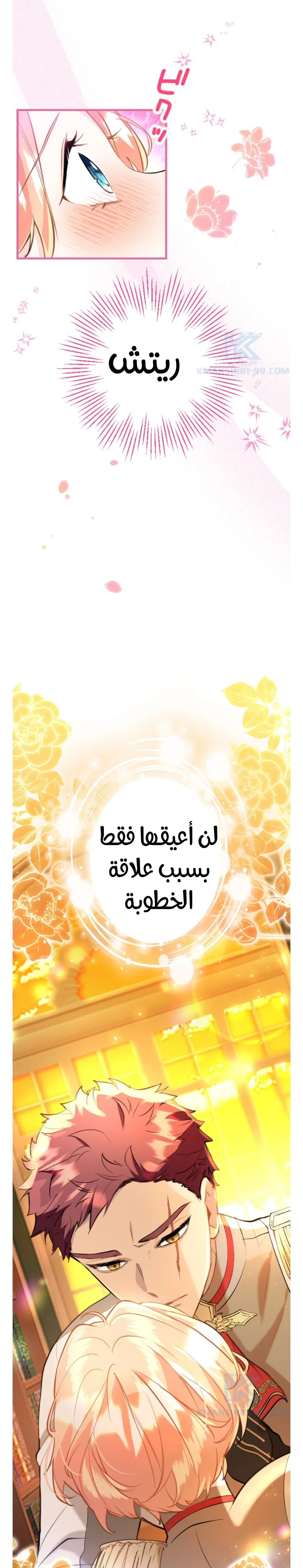 الصفحة 25