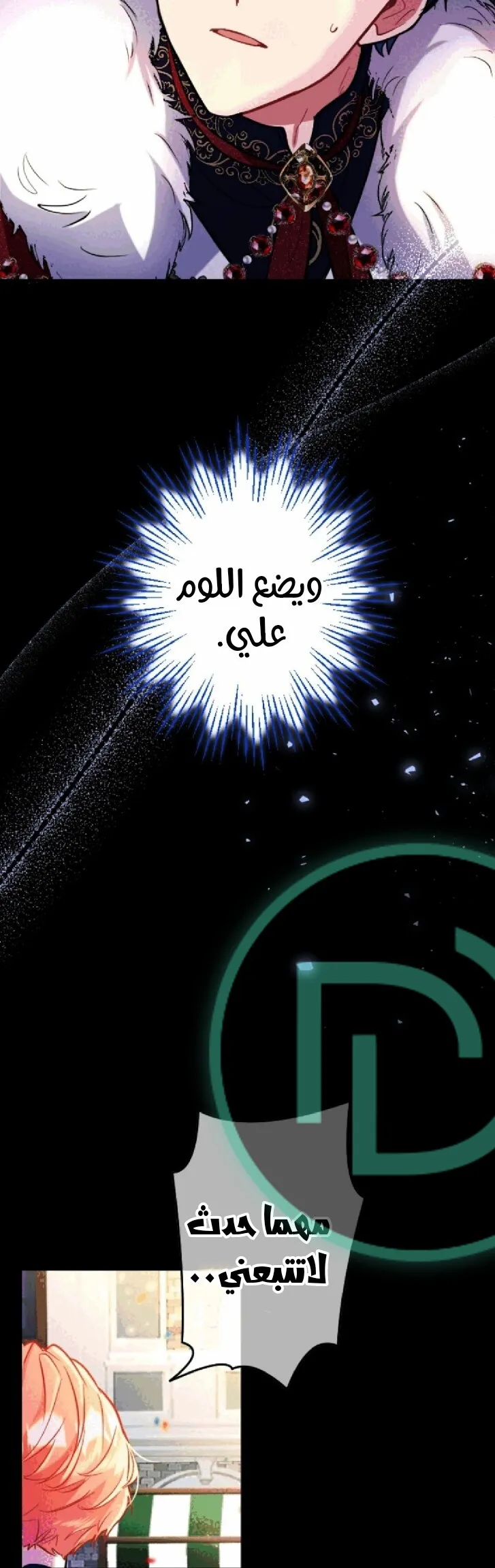 الصفحة 13