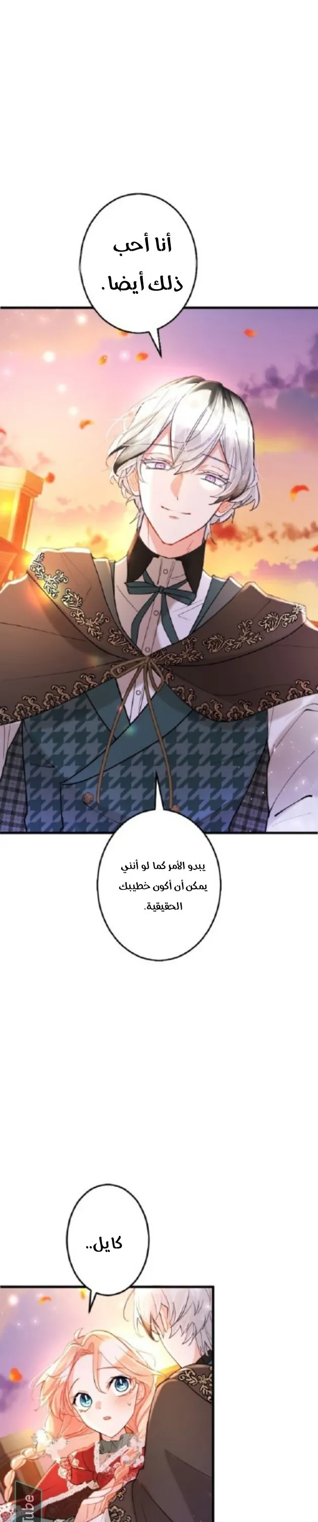 الصفحة 17