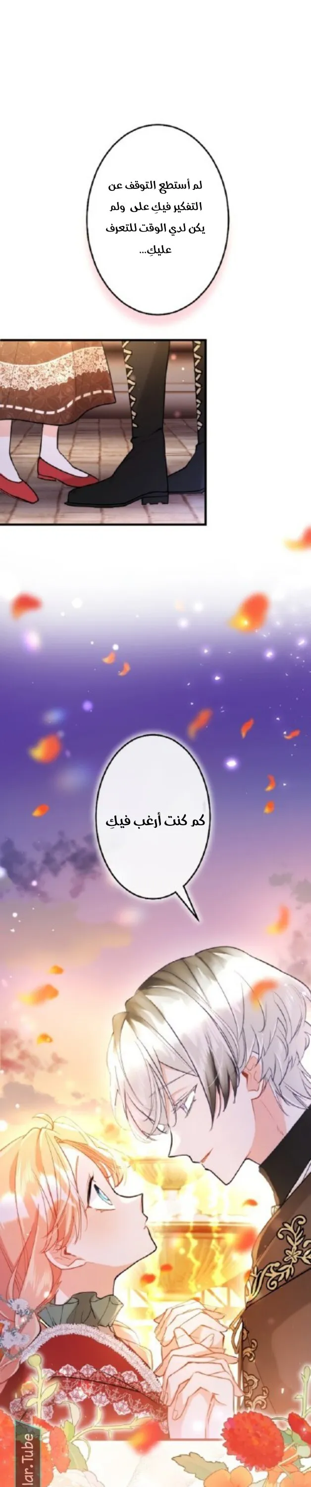 الصفحة 25