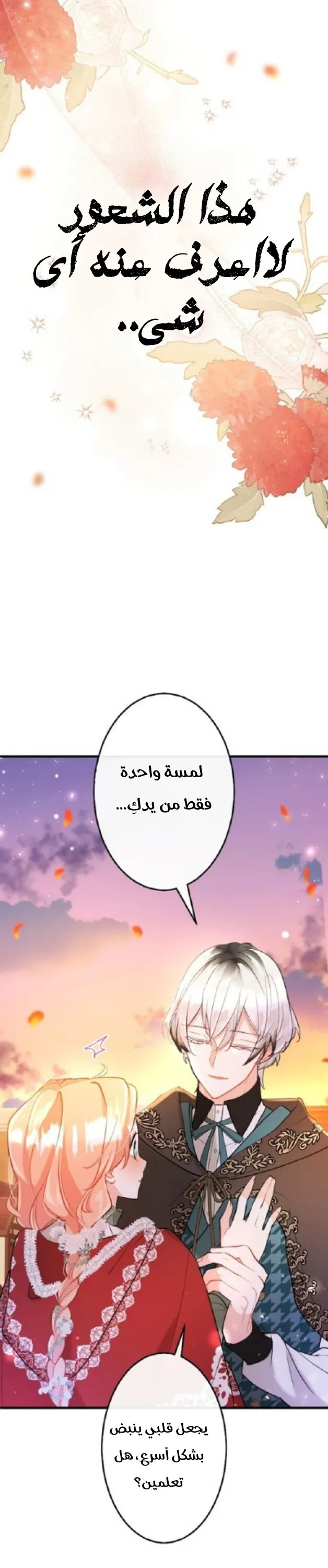 الصفحة 27