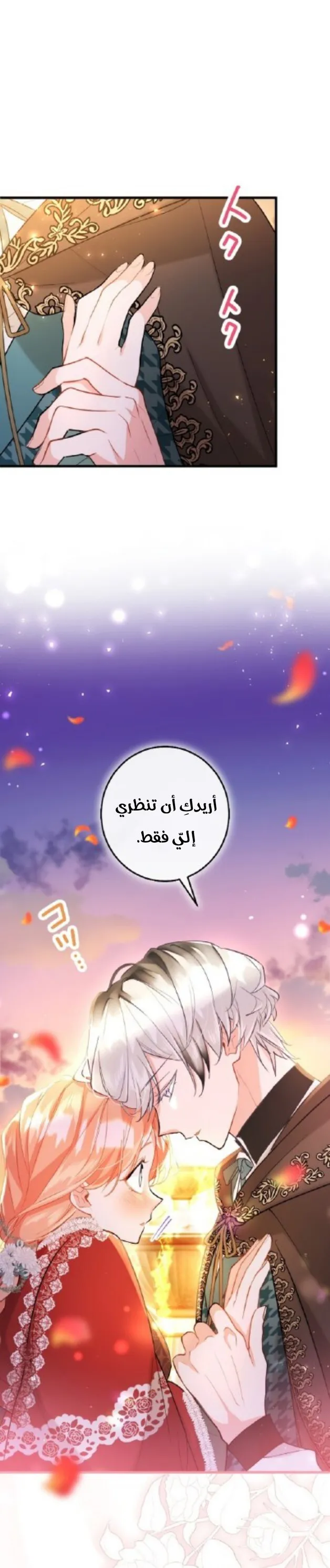 الصفحة 28