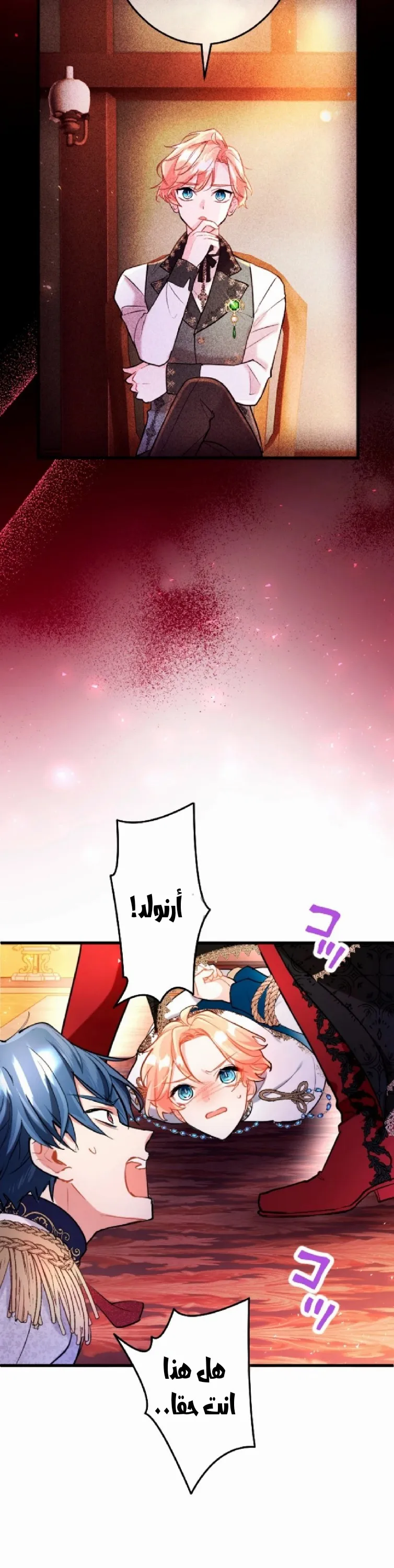 الصفحة 5