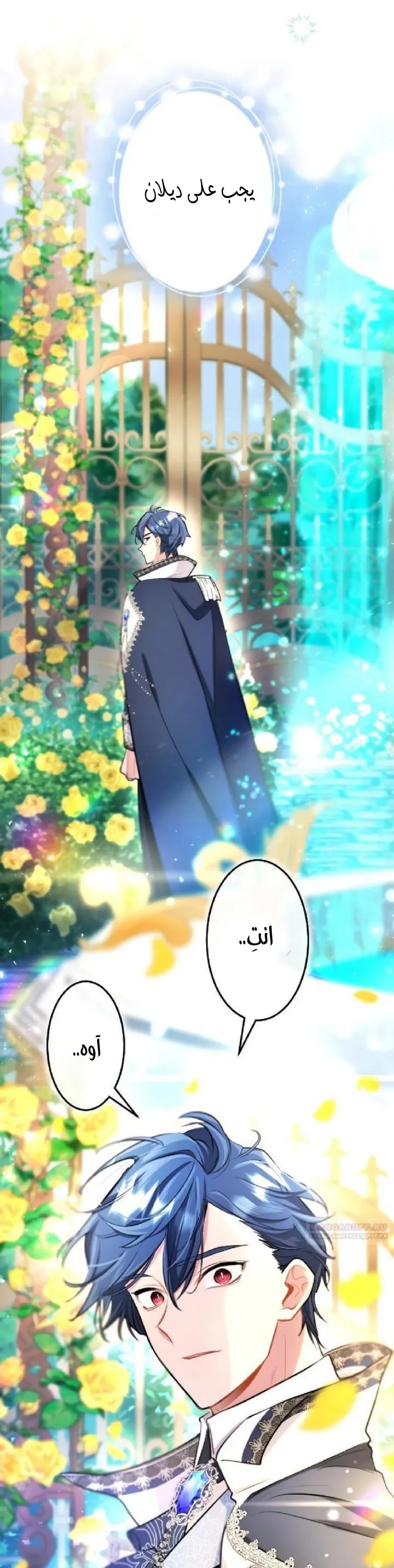 الصفحة 5