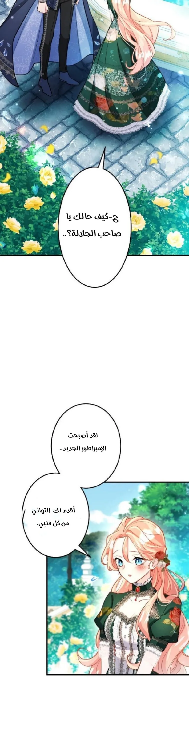 الصفحة 13