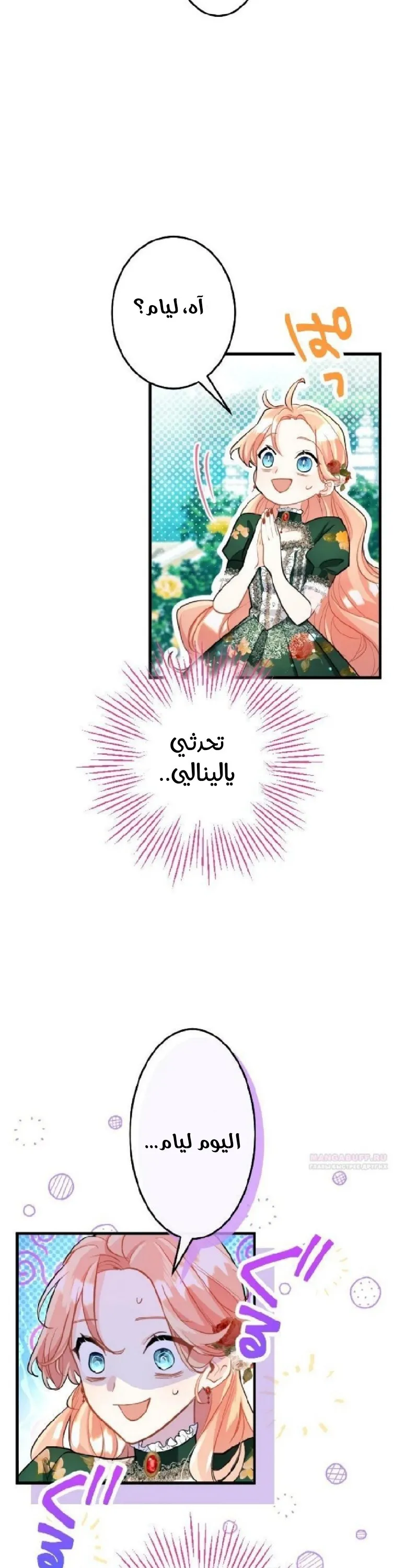 الصفحة 17