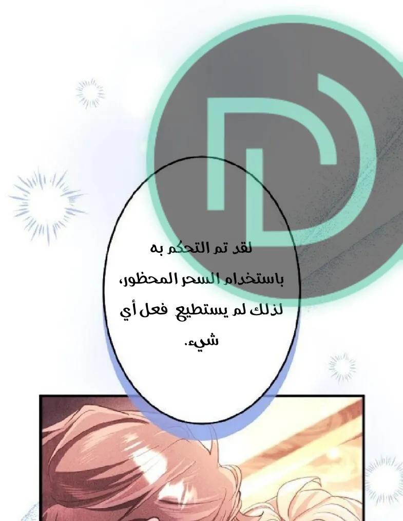 الصفحة 24