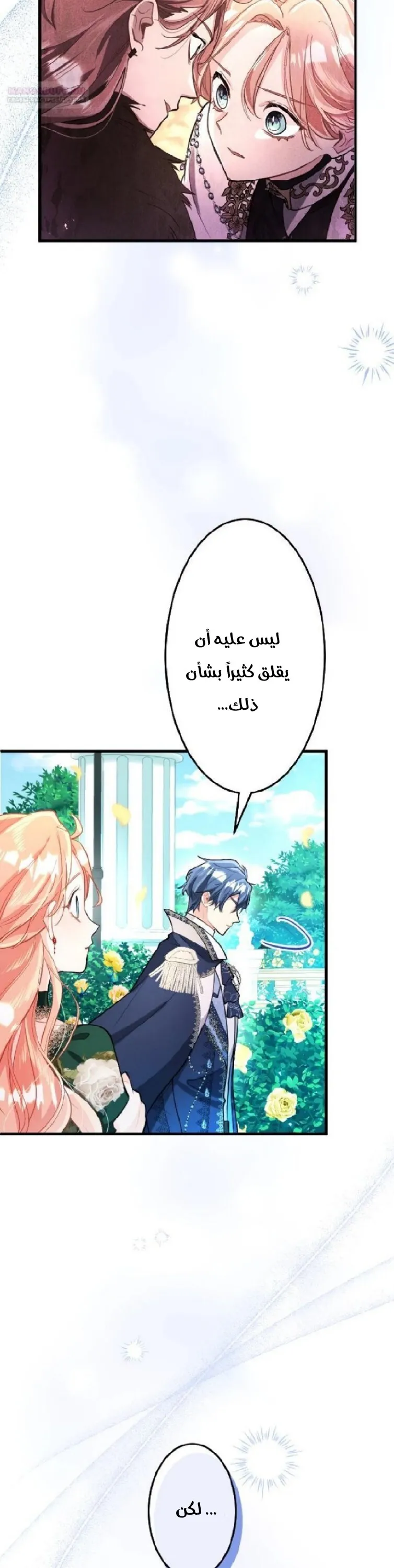 الصفحة 25