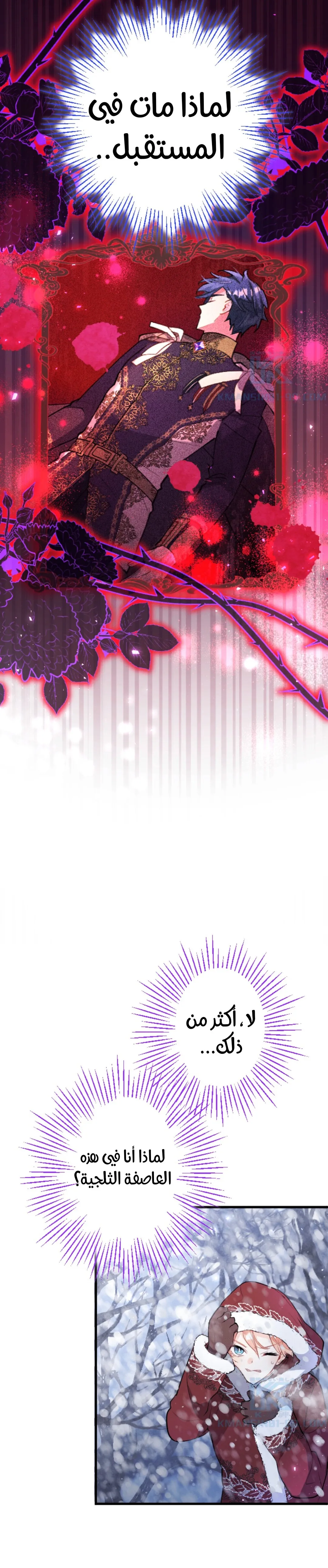 الصفحة 31